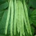 扁豆刀豆芸豆市场货电商货大量供应一件代发