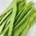 扁豆刀豆芸豆市场货电商货大量供应一件代发