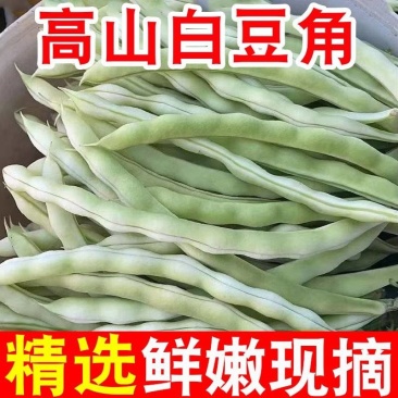 白豆白不老芸豆无筋豆市场货电商货大量供应，一件代发