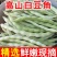 白豆白不老芸豆无筋豆市场货电商货大量供应，一件代发