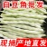 白豆白不老芸豆无筋豆市场货电商货大量供应，一件代发