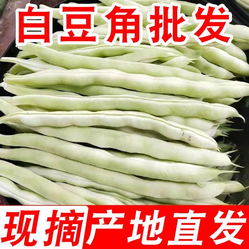 白豆白不老芸豆无筋豆市场货电商货大量供应，一件代发
