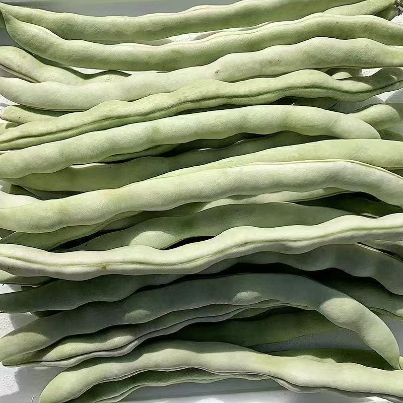 白豆白不老芸豆无筋豆市场货电商货大量供应，一件代发