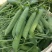 豌豆甜脆豌豆水果豌豆长寿豆中豌豆市场货电商货大量供应，一