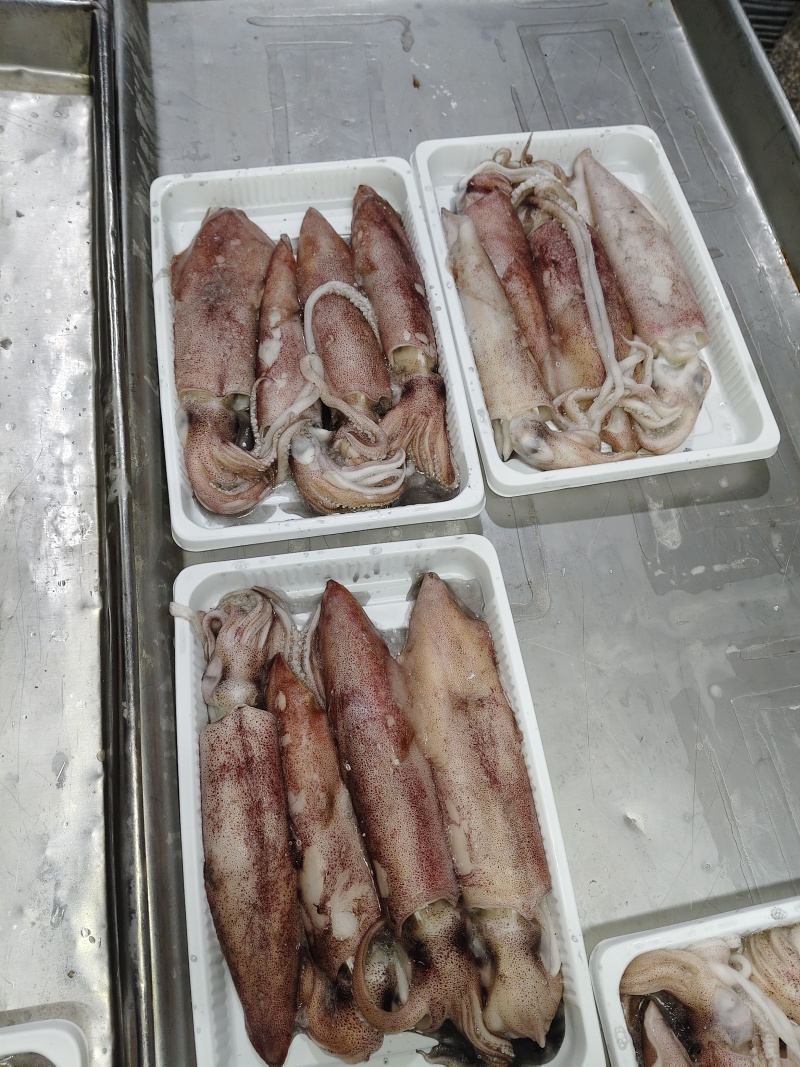 活冻钓鱿