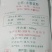 越南木薯淀粉