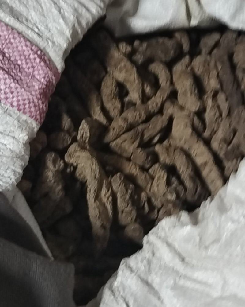 焦作生地黄