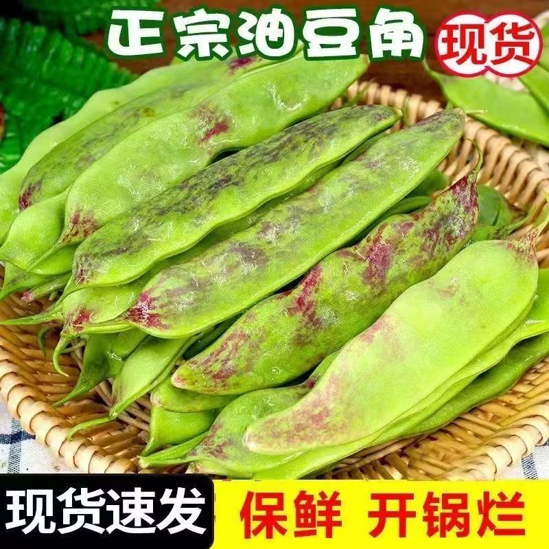 油豆九月青一点红市场货电商货大量供应，一件代发