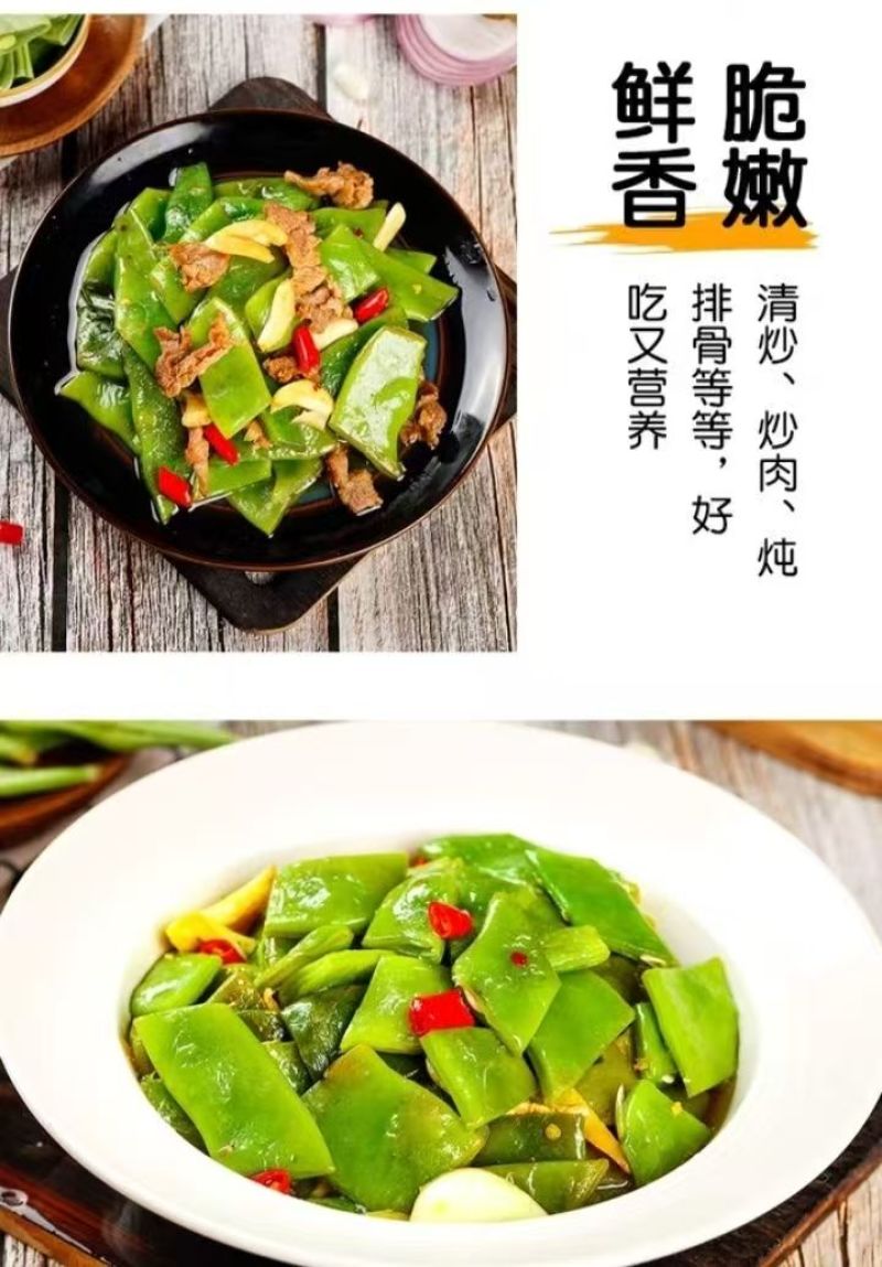 油豆九月青一点红市场货电商货大量供应，一件代发