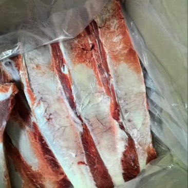 【热卖】三肋牛光排资质齐全品质保障欢迎电联下单