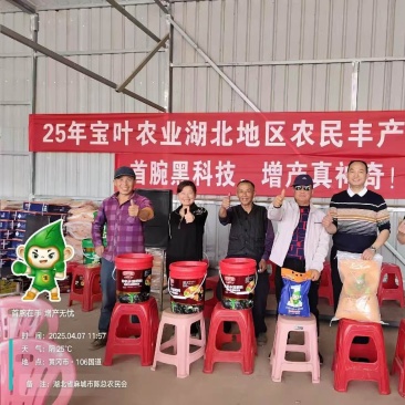 叶宝有机水溶肥料厂里直发保根生根膨果液农民好助手