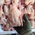 新鲜乳鸽肉冰鲜鸽保温加冰全国冷链发货产地发
