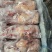 新鲜乳鸽肉冰鲜鸽保温加冰全国冷链发货产地发