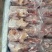 新鲜乳鸽肉冰鲜鸽保温加冰全国冷链发货产地发