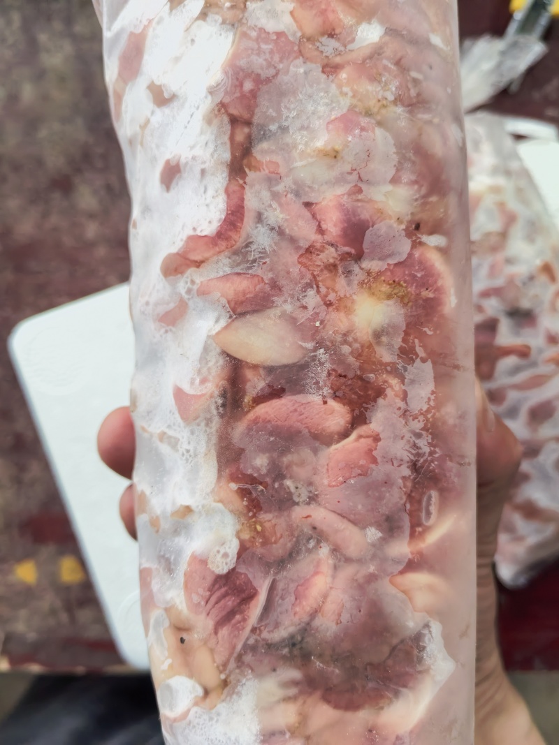 新鲜现剥鸽子胗烧烤用商用饭店批发一件代发量大优惠欢迎咨询