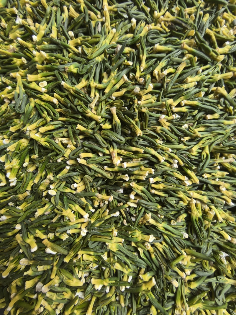 江西优质莲子芯规格齐全量大无坏果广东广州可全国供应