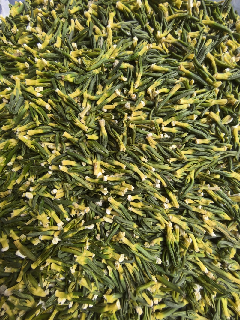 江西优质莲子芯规格齐全量大无坏果广东广州可全国供应