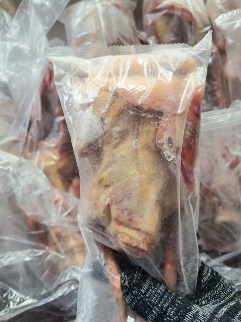 乳鸽肉白条鸽工厂发货批发商电商餐饮常年稳定供应