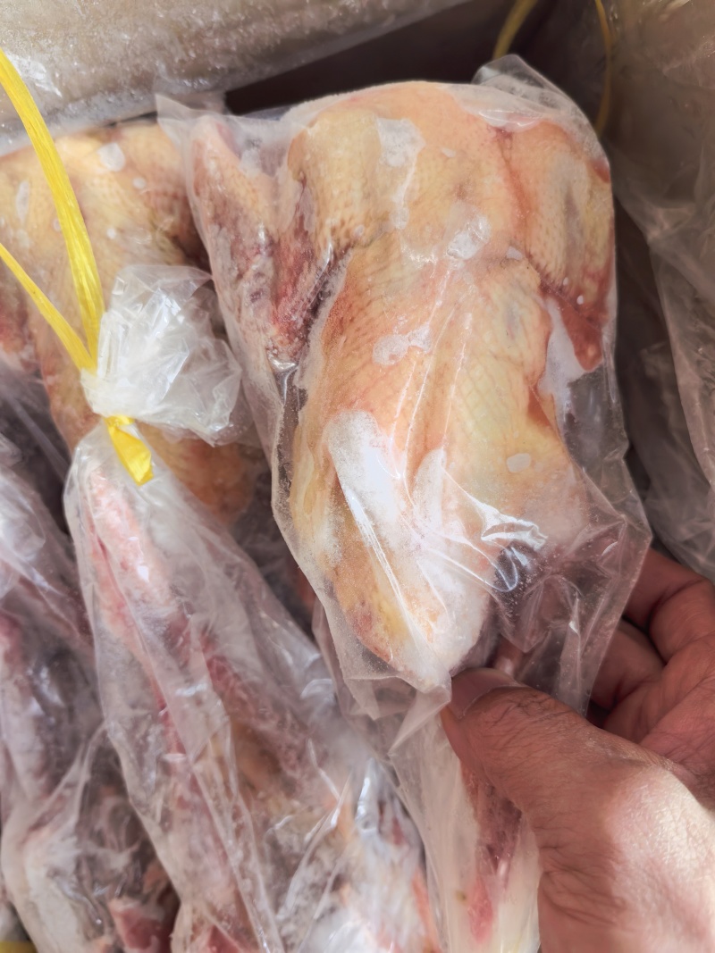 乳鸽肉白条鸽工厂发货批发商电商餐饮常年稳定供应