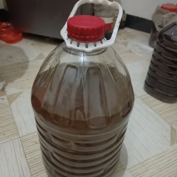 山茶油深山山茶油色泽好口感佳价格便宜欢迎老板联系