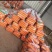 【推荐】福建精品水洗胡萝卜大量供应支持商超电商市场质量