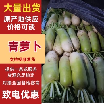 青头萝卜/青萝卜/山东青萝卜/产区直发/大量现货