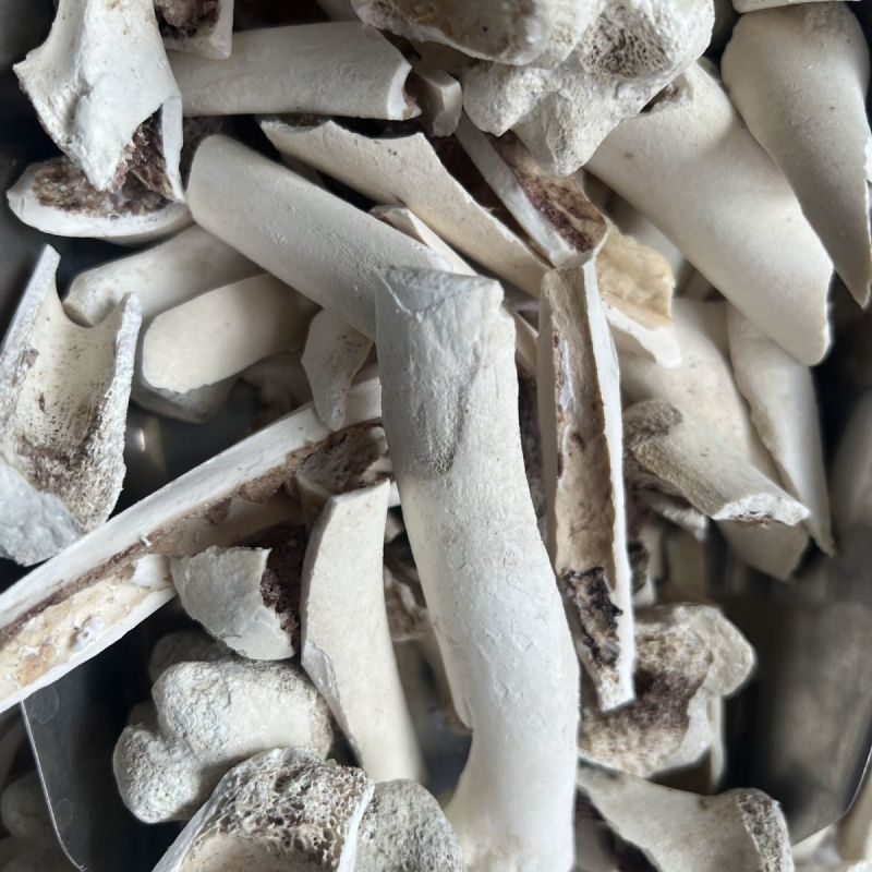 羊骨头正品无硫熏羊棒骨诚信经营大货供应