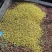 《咖啡豆》云南基地直发对接全国一件代发量大从优售后无忧