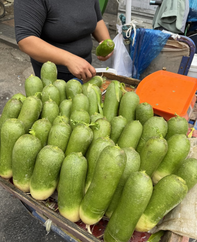 【青萝卜】河南水洗青萝卜/产地直发对接全网质量三包便宜
