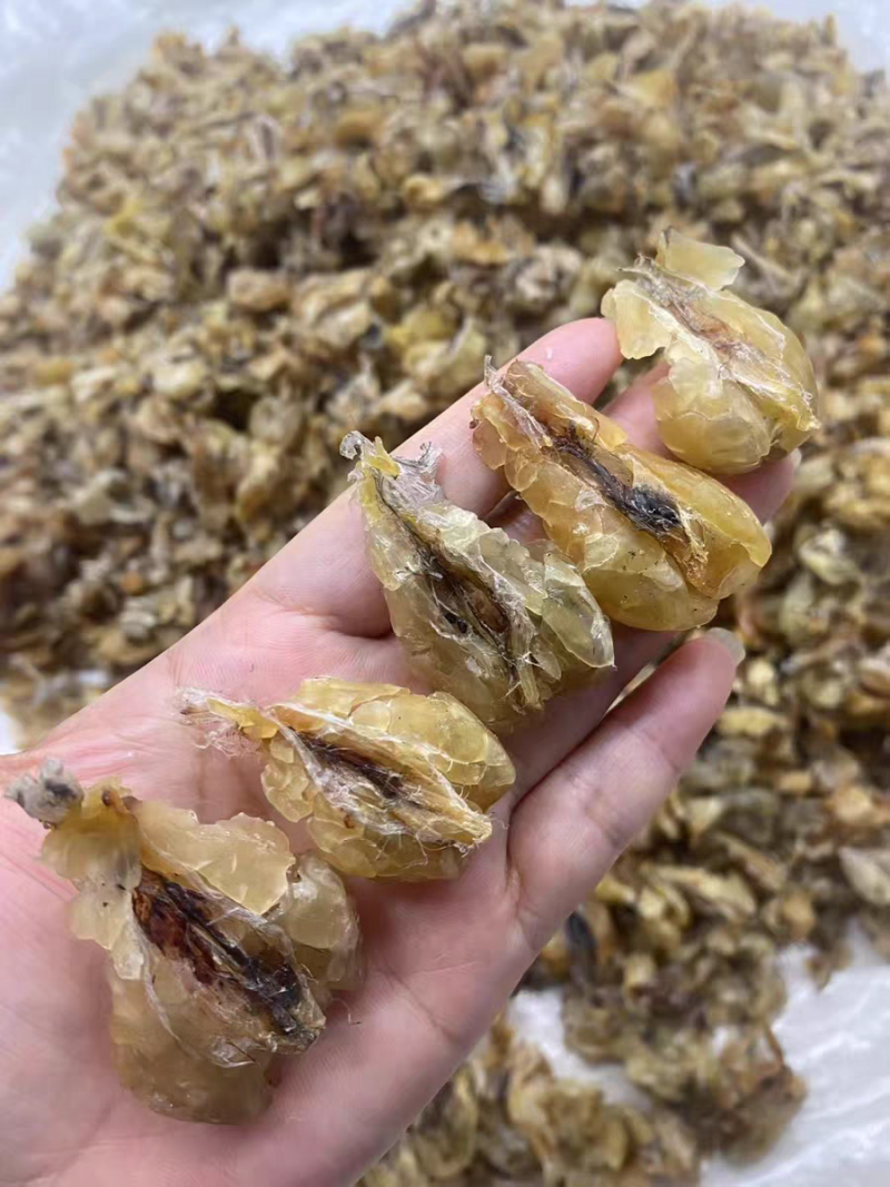 林蛙油东北特产块油蛤蟆油正品质量诚信经营