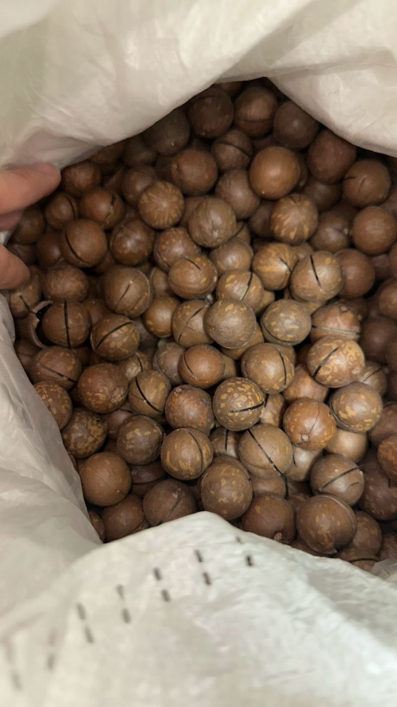 夏威夷果