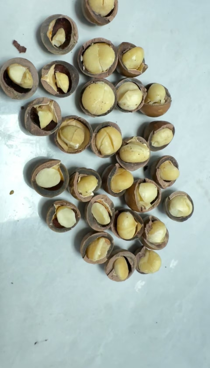 夏威夷果