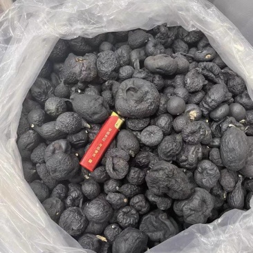 乌灵参野生新货雷震子保证正品保质保量诚信经营