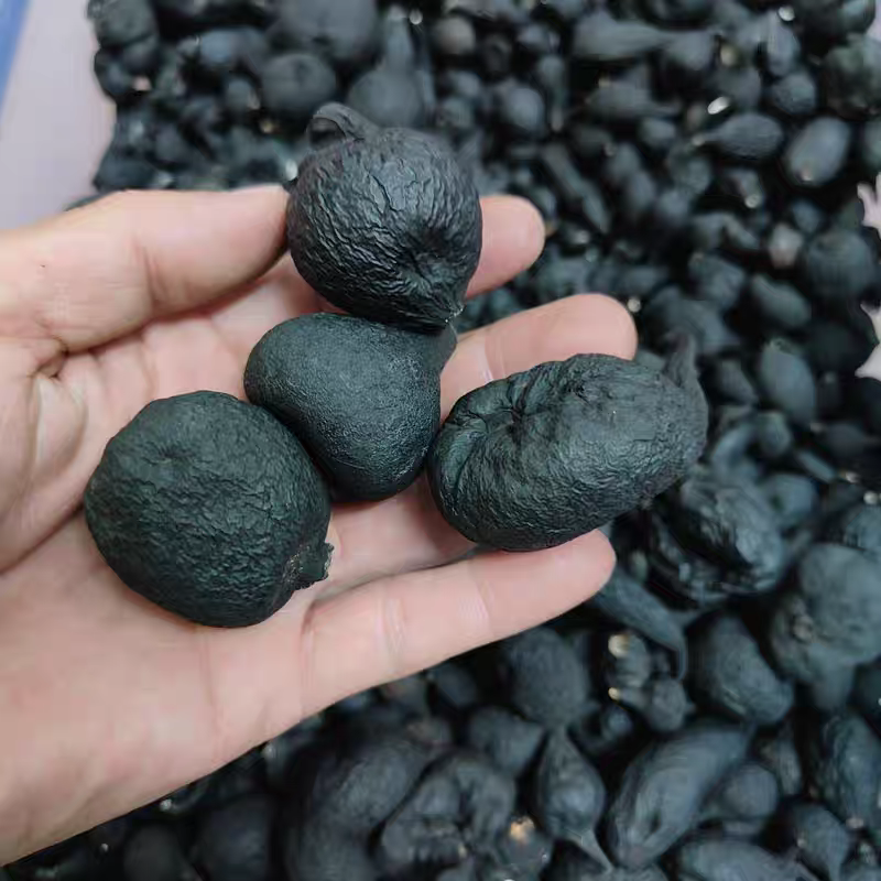 乌灵参野生新货雷震子保证正品保质保量诚信经营