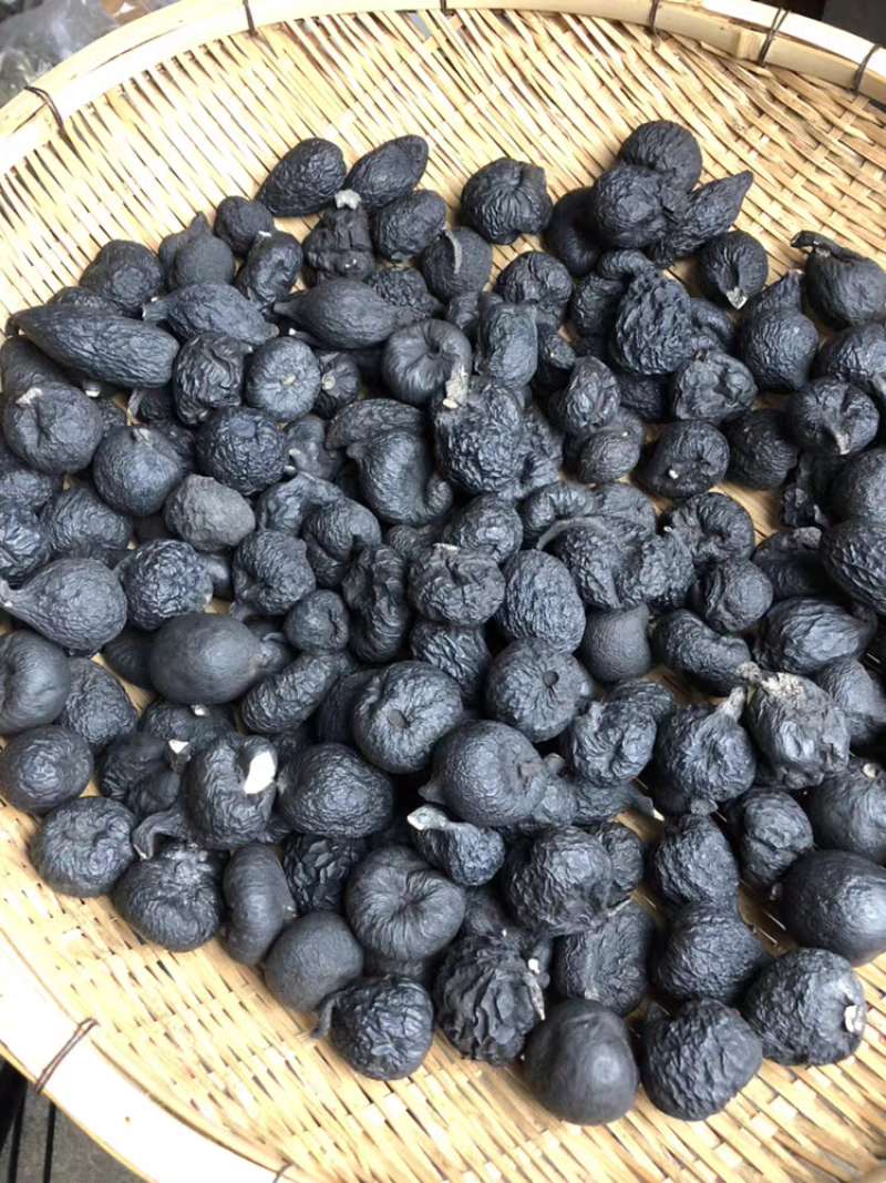 乌灵参野生新货雷震子保证正品保质保量诚信经营