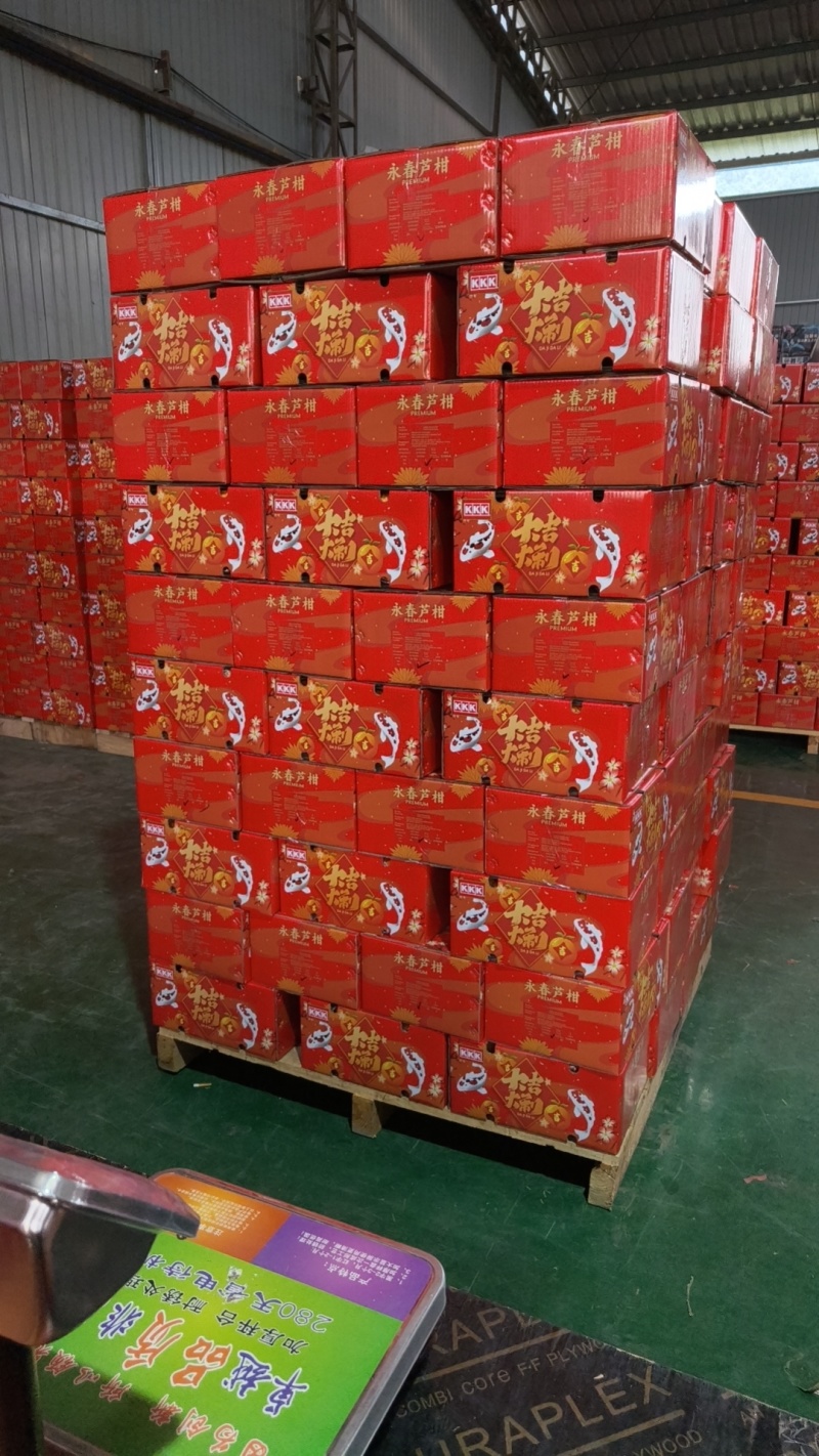 福建精品芦柑，产地直发，承接各大商超，电商，批发商，