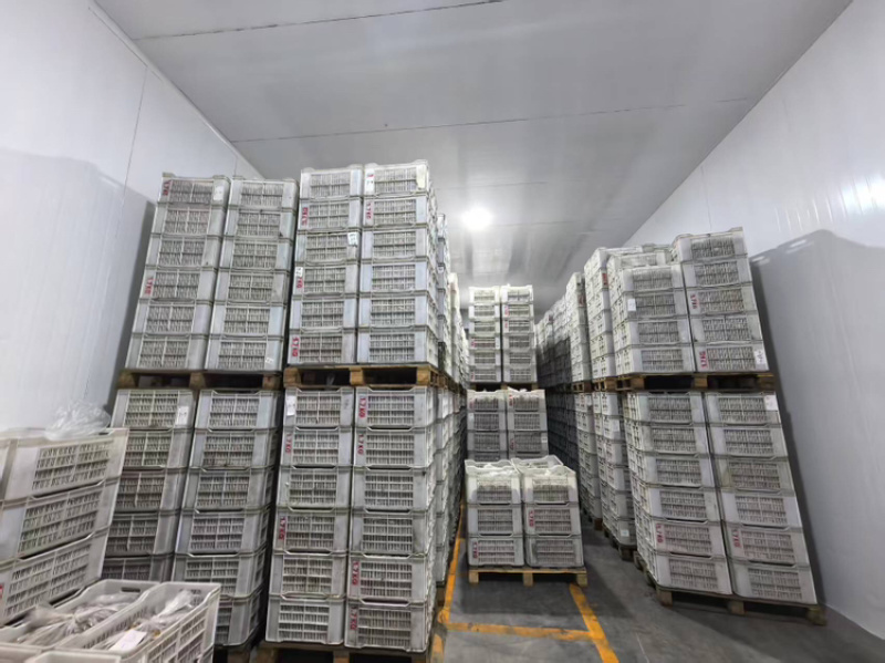 黄心猕猴桃价格美丽产地直发品质保证一手货源