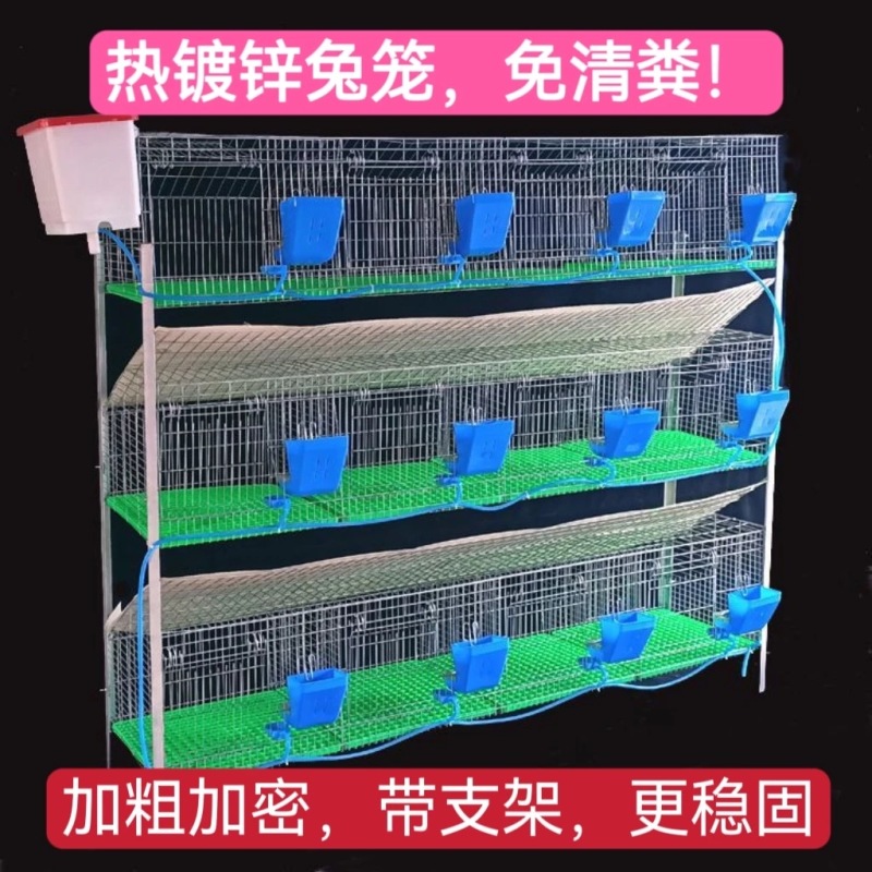 山东兔子笼规格齐全带支架全国代发可视频看货