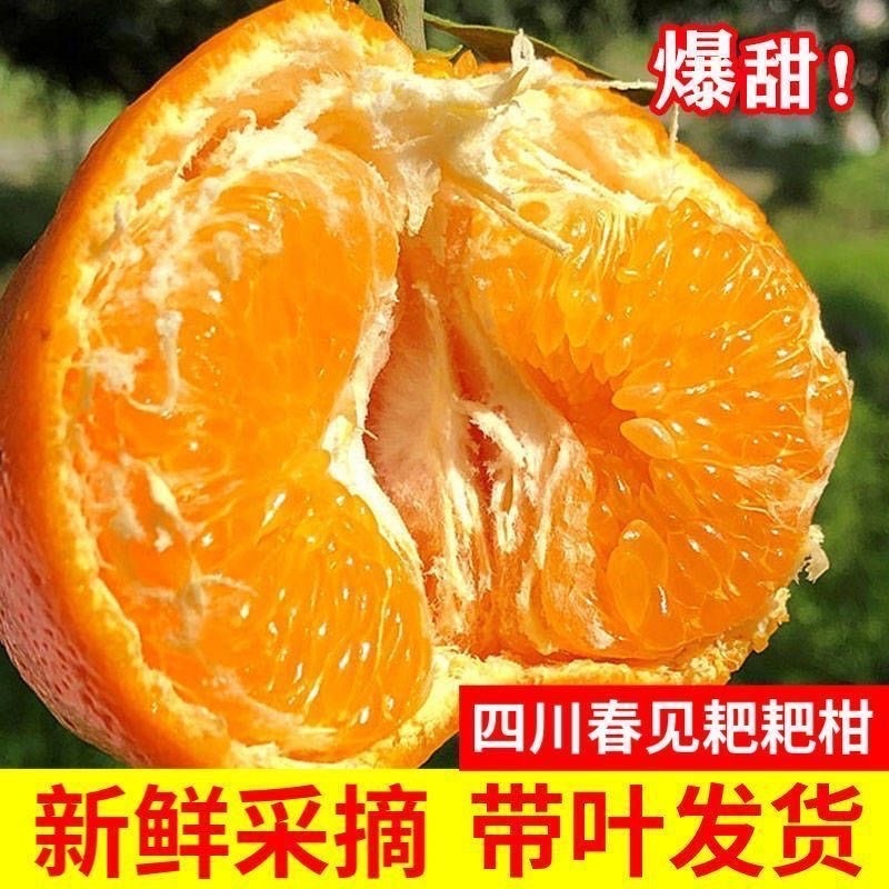 《一件代发》丑橘不知火不春见粑粑柑，对接各大电商平台，