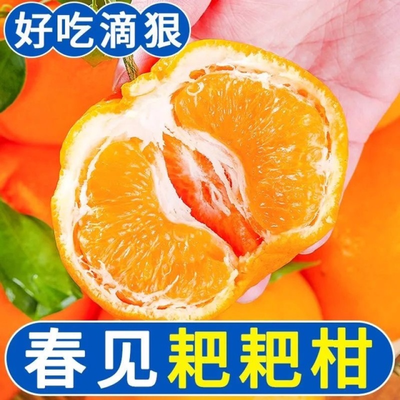《一件代发》丑橘不知火不春见粑粑柑，对接各大电商平台，