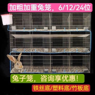 山东兔子笼规格齐全货源充足可视频看货欢迎致电