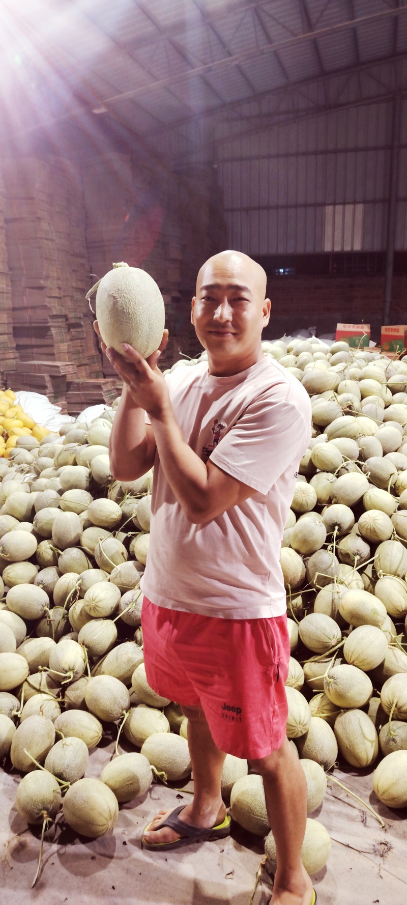 哈密瓜
