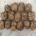 小草坝天麻正宗