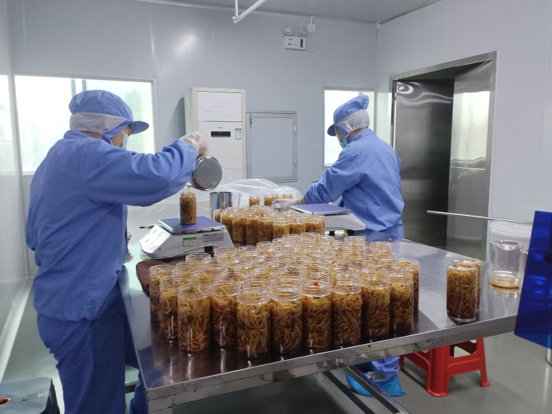 工厂直销268克瓶装香辣木瓜丝广西特产腌制木瓜丝一箱起批