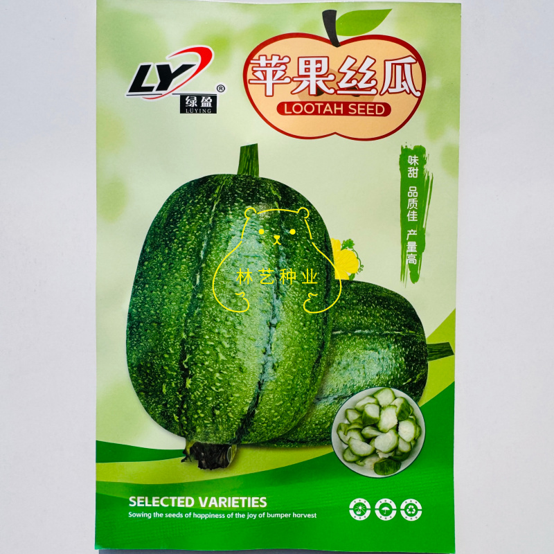 绿盈苹果丝瓜种子杂交一代翠绿有光泽苹果型丝瓜味甜肉质好