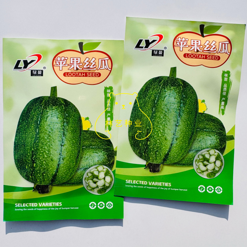 绿盈苹果丝瓜种子杂交一代翠绿有光泽苹果型丝瓜味甜肉质好