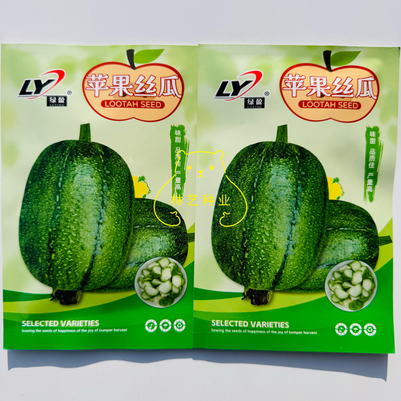 绿盈苹果丝瓜种子杂交一代翠绿有光泽苹果型丝瓜味甜肉质好