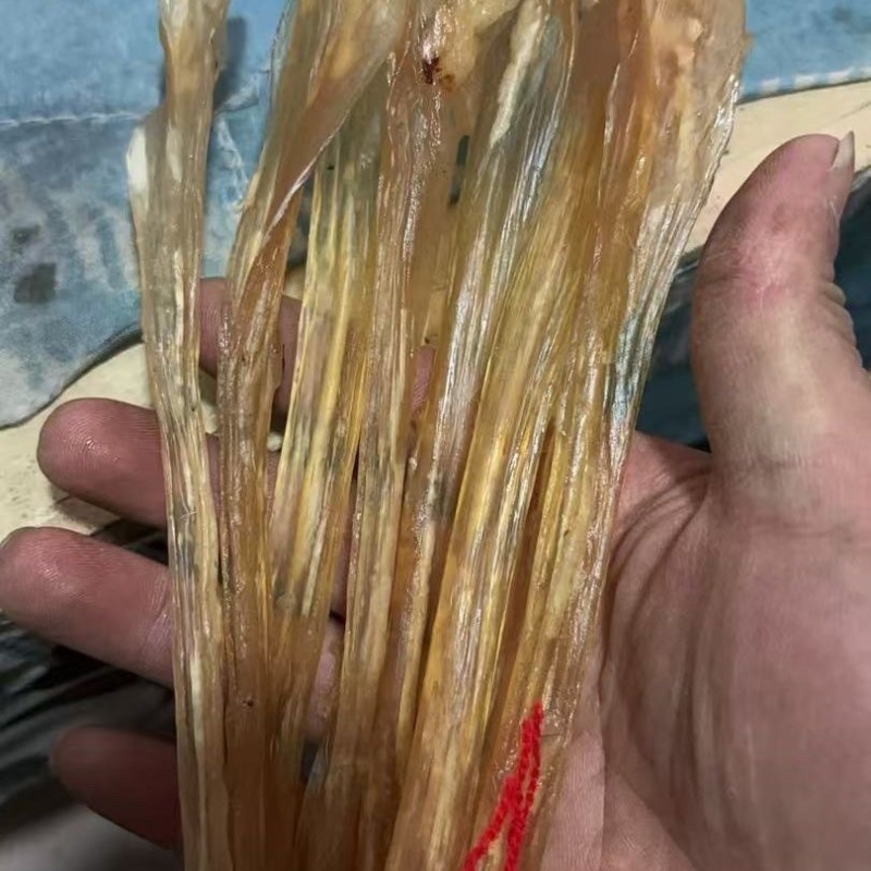 正宗牛筋中药材牛蹄筋干货长牛筋无骨自然风干***不漂白