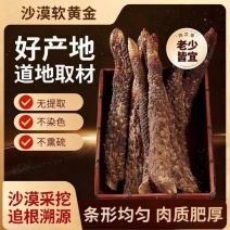 中药材阿拉善肉苁蓉大芸沙漠人参地精金笋软黄金批发零售