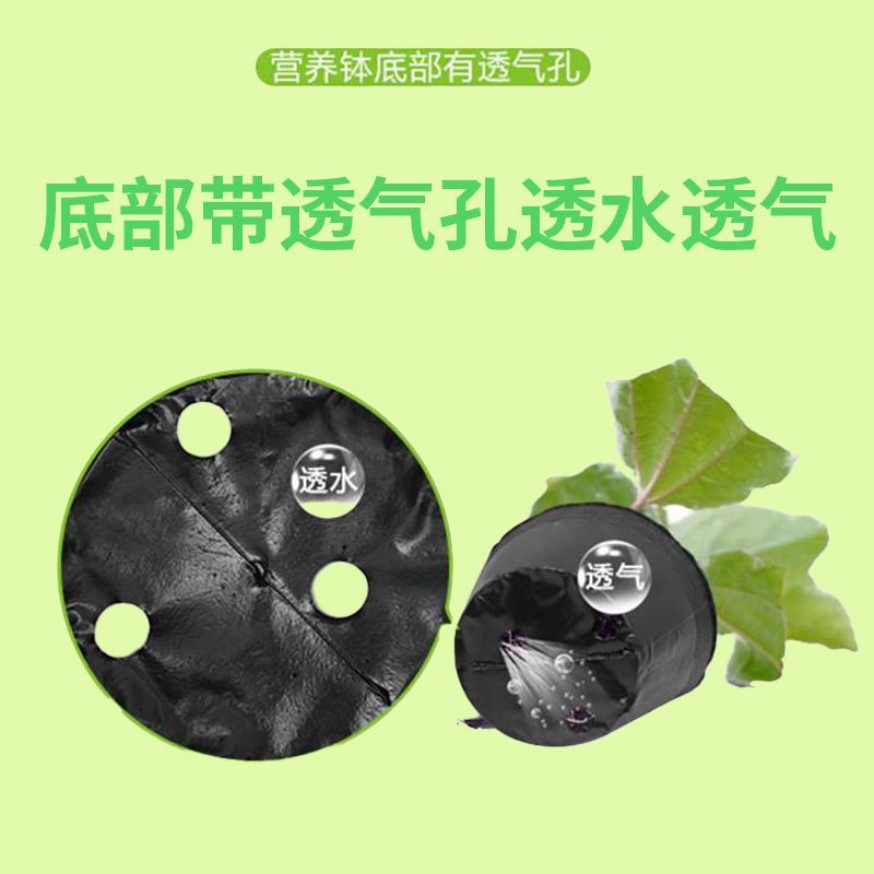 营养钵营养杯育苗袋育苗杯全新料多种规格